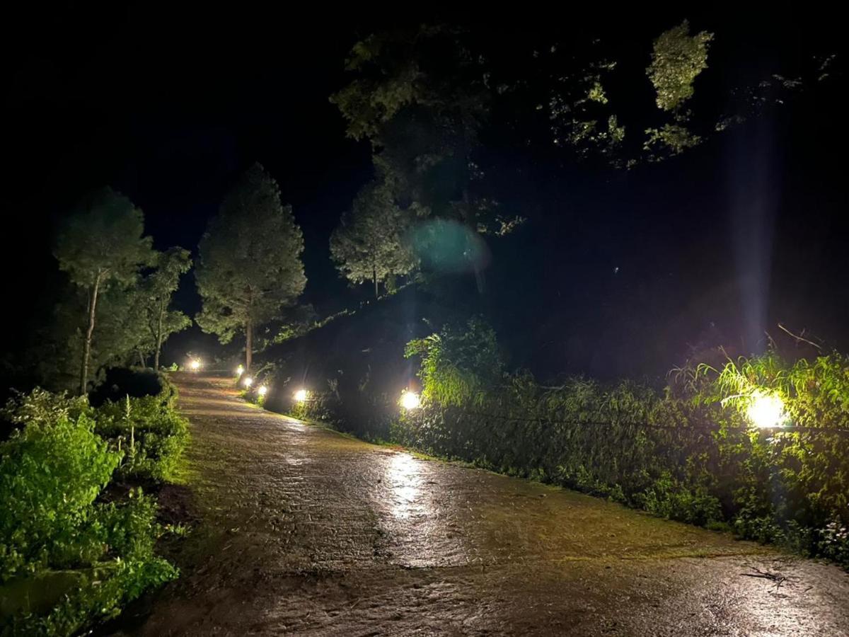 Mountain View Resort Nainital Eksteriør bilde